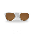 Livorno - Transparent with Brown Lenses