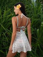 The Lerici Cover-Up